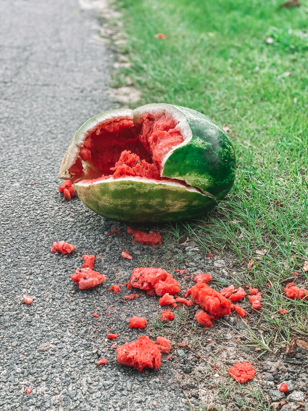 Smashed watermelon roadside casualty 7.1.2021.jpg