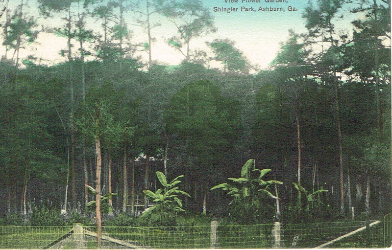 View Flower Garden, Shingler Park - Ashburn, GA - postcard front.tif