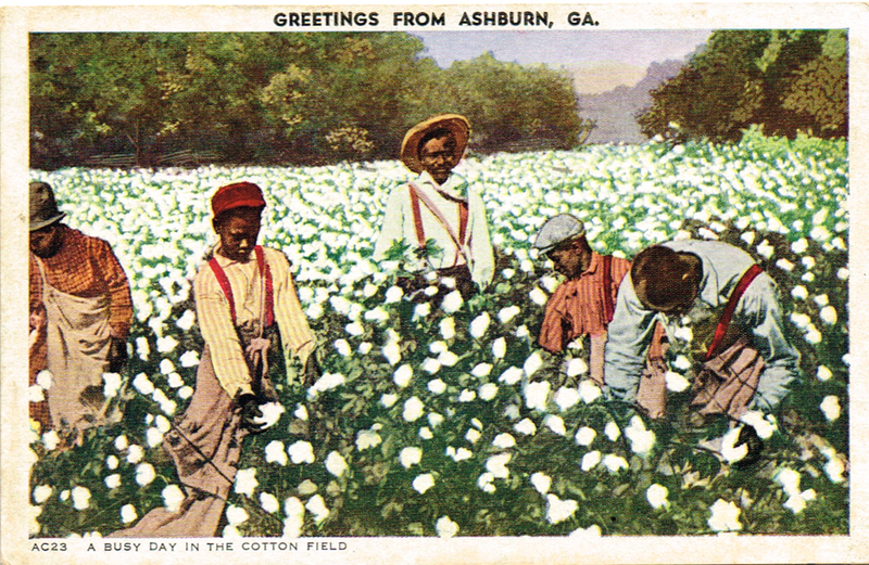 A busy day in the cotton field - Greetings from Ashburn, GA AC23 - postcard front.jpg