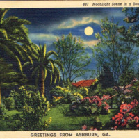 Moonlight Scene in a Southern Garden - Greetings from Ashburn, GA - postcard front.tif