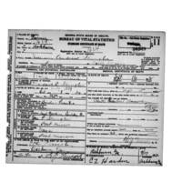 Death of William Andrew Shingler - Death Certificates, Vital Records, Public Health, RG 26-5-95, Georgia Archives.jpg