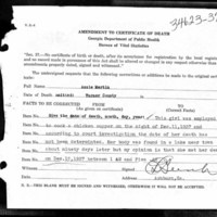 Amendment to Certificate of Death - Azzie Martin, Turner County