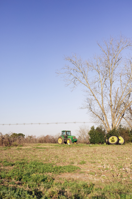 John Deere Tractor off of Ray Road, February 20, 2021.jpg