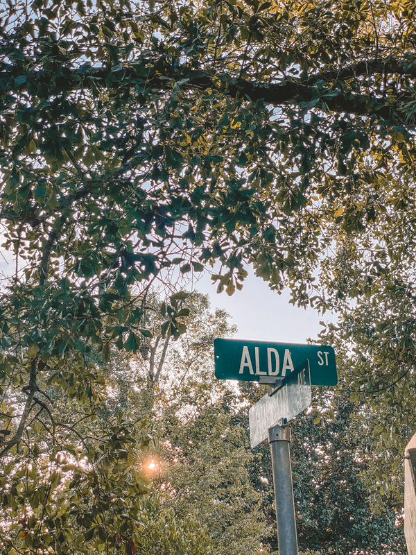Alda Street Scene 8.12.2021 3.jpg