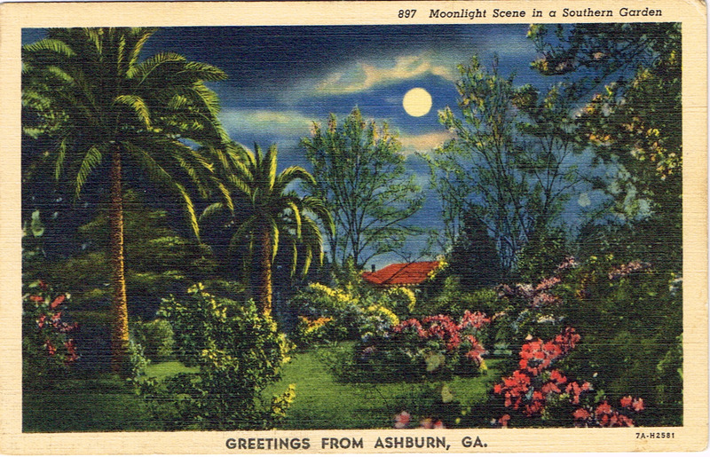 Moonlight Scene in a Southern Garden - Greetings from Ashburn, GA - postcard front.tif