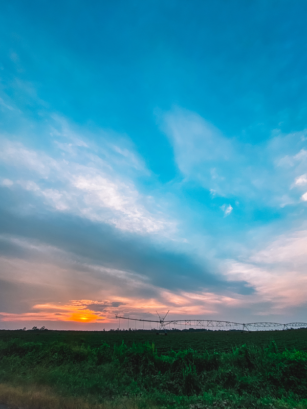 Sunset over field and pivot off of Hwy 112 W 8.10.2021.jpg