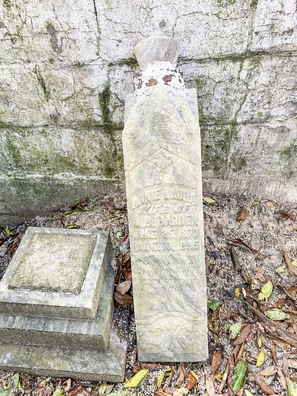 Mary Henderson Cemetery TCP_001 (8).jpg