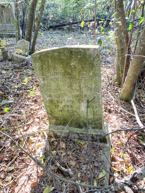 Mary Henderson Cemetery TCP_001 (2).jpg