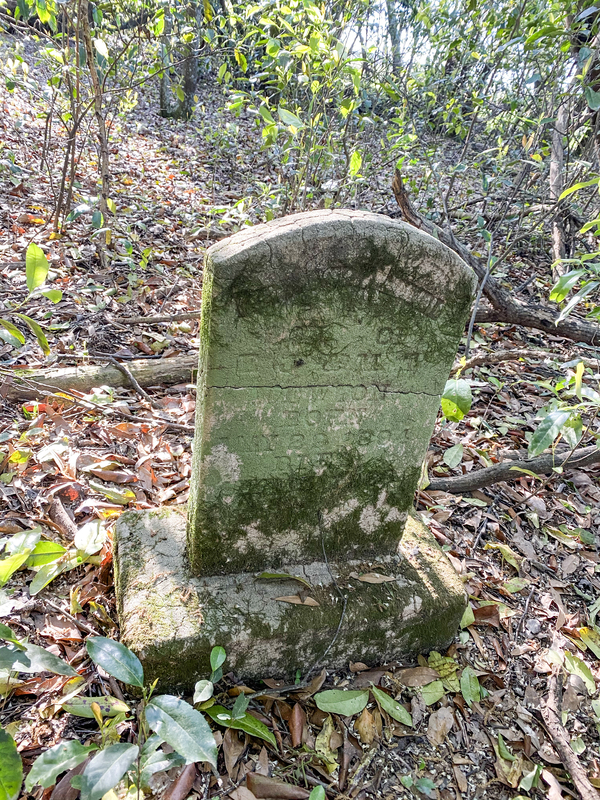 Mary Henderson Cemetery TCP_001.jpg