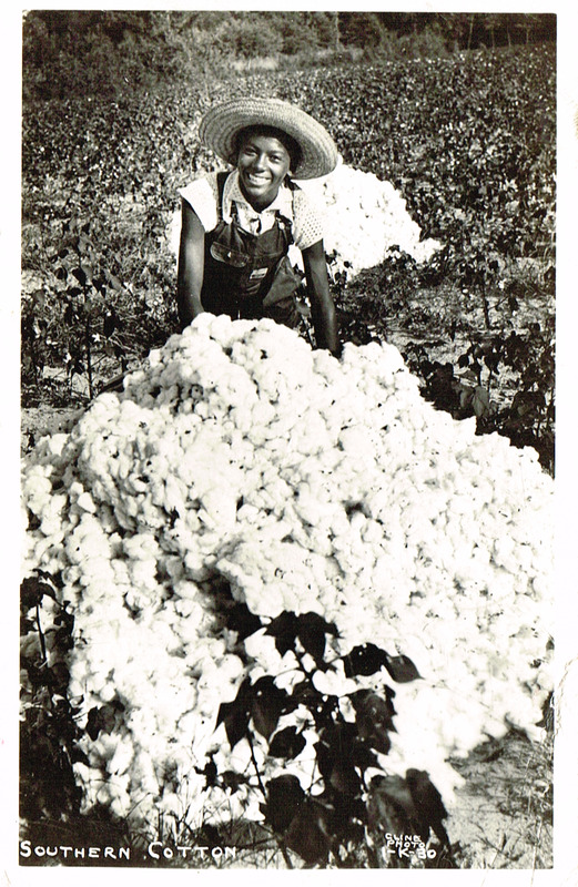 Southern Cotton - 1-K-30 postcard front.tif
