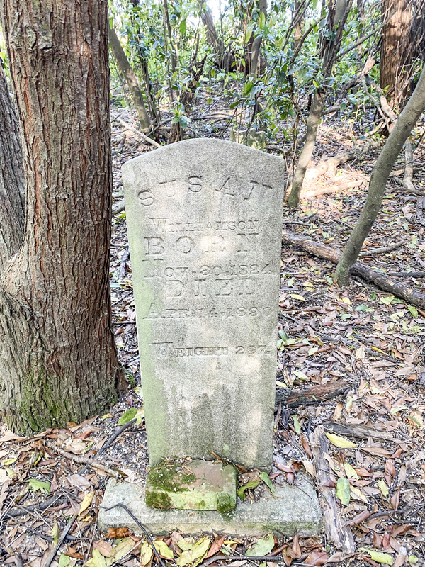 Mary Henderson Cemetery TCP_001 (5).jpg