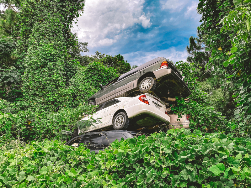 Kudzu taking over cars off of Murray Road in Ashburn Ga 8.14.2021 1.jpg