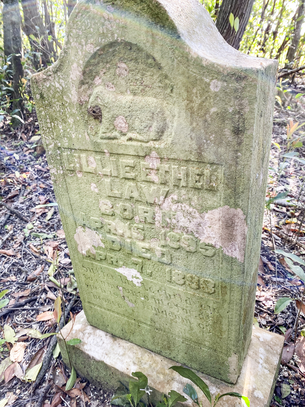 Mary Henderson Cemetery TCP_001 (15).jpg