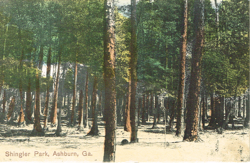 Shingler Park, Ashburn, GA - postcard front.tif