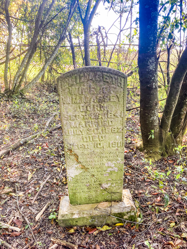 Mary Henderson Cemetery TCP_001 (13).jpg