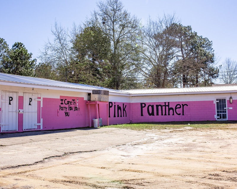 pink panther.jpg