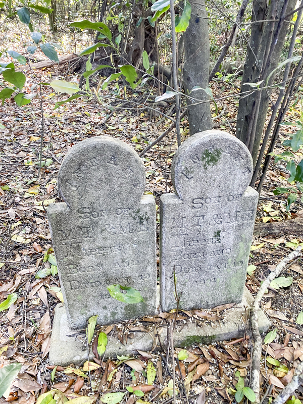 Mary Henderson Cemetery TCP_001 (6).jpg