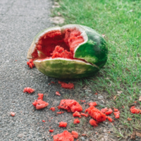 Smashed watermelon roadside casualty