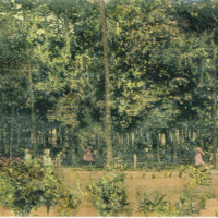 Shingler Park, Ashburn, GA - 1915 - postcard front.tif