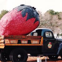 Vintage Calhoun Produce Strawberry