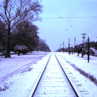 9-5-2009_014.JPG