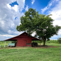 Old Barn with turquoise truck and tractor on Sun Story Rd. in Ashburn, Ga 8.14.2021 2.jpg