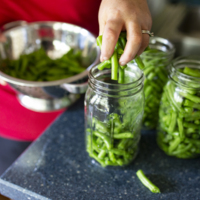 Jarring fresh green beans