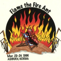 Fire Ant Festival Postcard - 1996 front.jpg