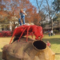 Fire Ant Festival - Old photo 2008.jpg