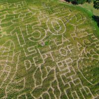 Calhouns Cornmaze 2024.jpg