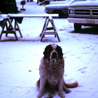 9-5-2009_008.JPG
