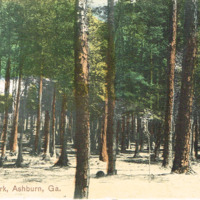 Shingler Park, Ashburn, GA - postcard front.tif