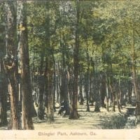 Shingler Park, Ashburn, GA - 1911 - postcard front.tif