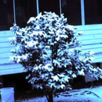 9-5-2009_025.JPG
