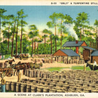 Only A Turpentine Still Down South - A Scene at Clark_s Plantation, Ashburn, GA - Postcard front.tif