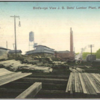 Bird&#039;s Eye View of John Samuel &quot;J.S.&quot; Betts Lumber Plant Postcard
