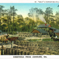 Only A Turpentine Still Down South -Greetings from Ashburn, GA - Postcard front.tif
