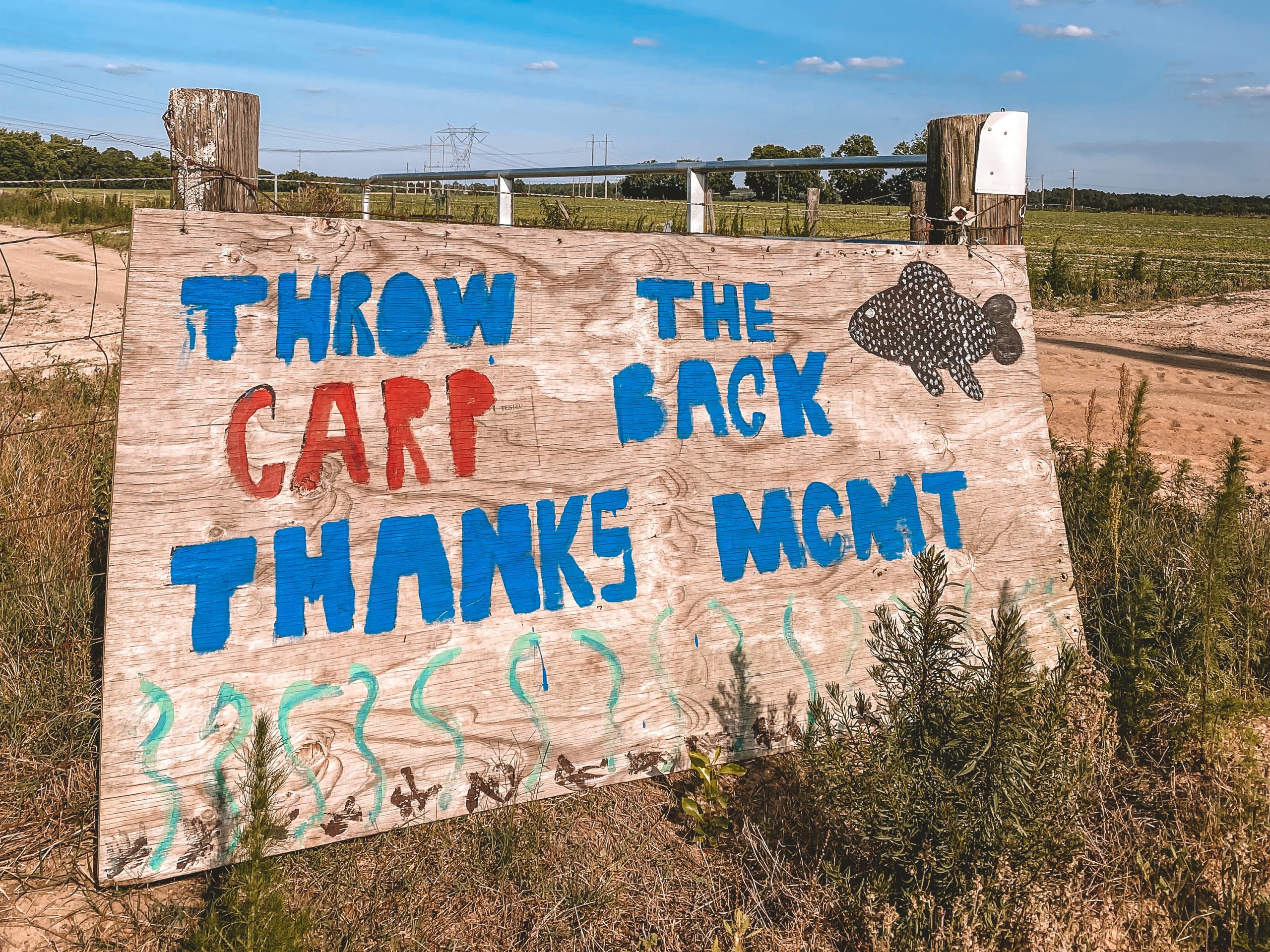 “Throw the carp back…” 🎣 Turner County Project