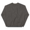 Turner County Project Embroidered Sweatshirt - Image 14