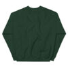 Turner County Project Embroidered Sweatshirt - Image 10