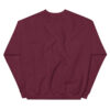 Turner County Project Embroidered Sweatshirt - Image 8