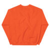 Turner County Project Embroidered Sweatshirt - Image 16