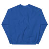 Turner County Project Embroidered Sweatshirt - Image 12